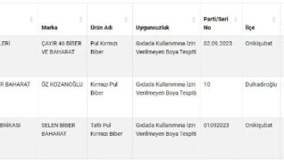 PUL BİBERDE BOYA OYUNU 