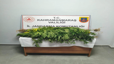 31 KİŞİYE YASAL İŞLEM YAPILDI