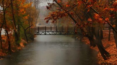 KAMFOD YİNE EFANE KARELERE İMZA ATTI