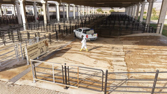 Büyükşehir Belediyesi, Canlı Hayvan Pazarı’nda görülebilecek bulaşıcı hastalıkların önlenmesi için