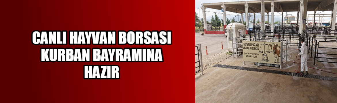 Pazarda kurbanlık satışları 12 Mayıs