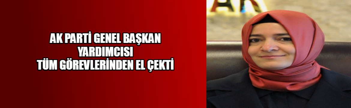 Fatma Betül Sayan Kaya 2016-2018